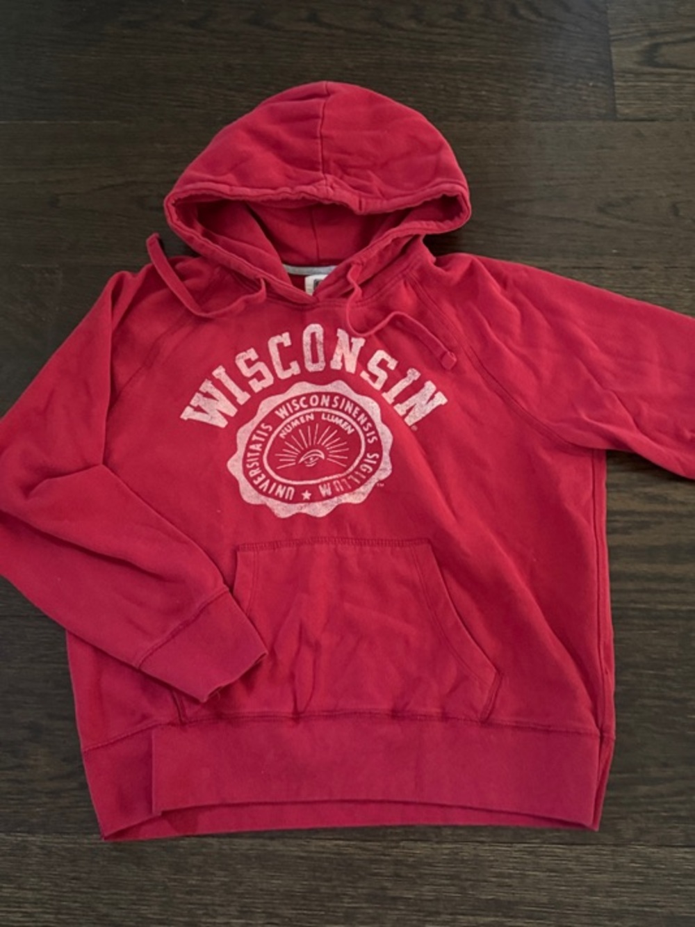 Wisconsin Red Hooded Sweatshirt